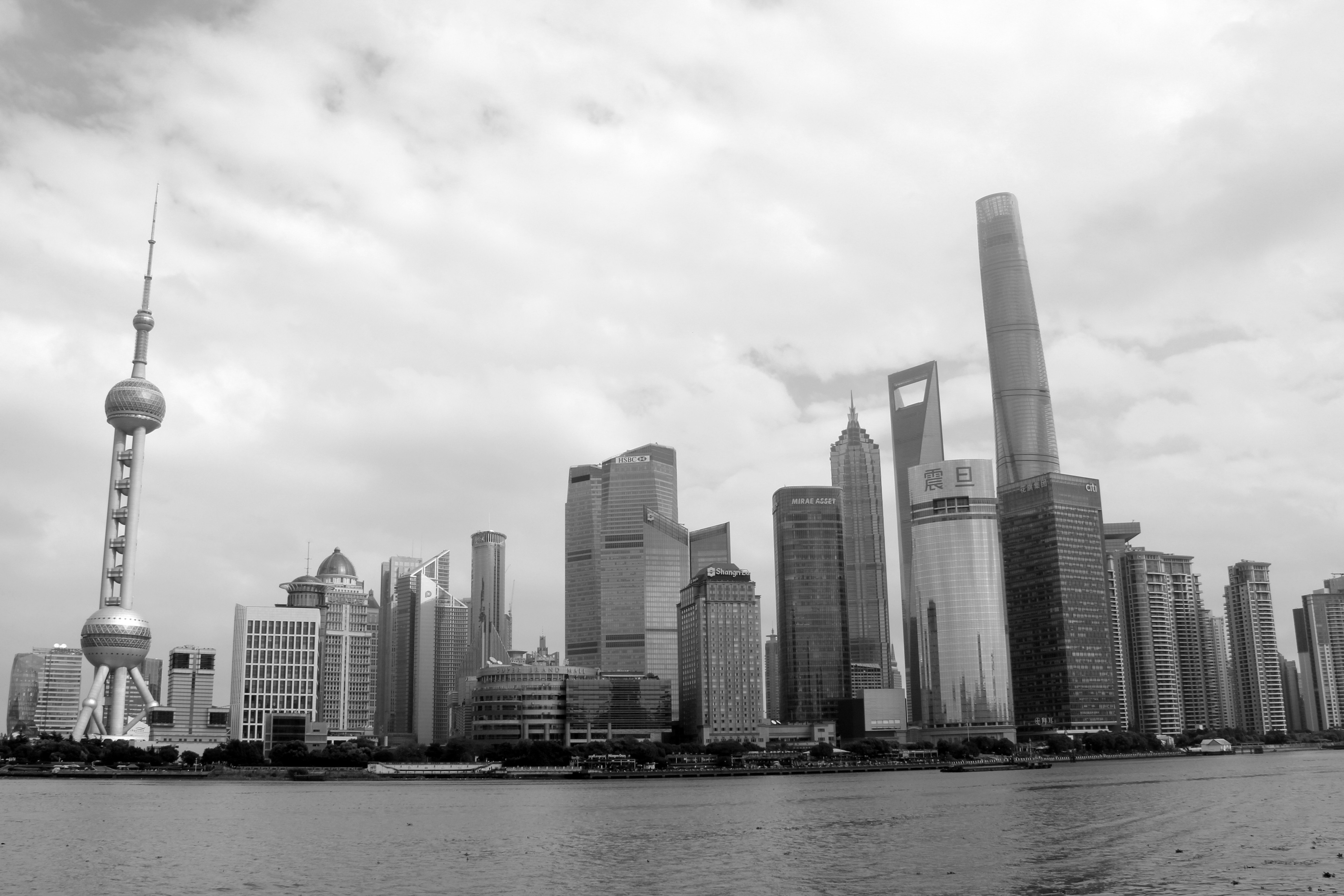 寂靜的春天，防疫不曾停歇